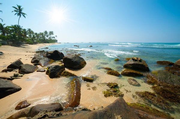 Tropikalna plaża — Zdjęcie stockowe