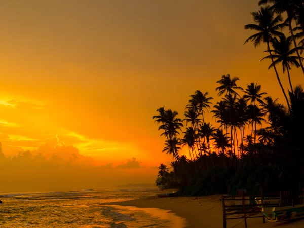 Hermoso atardecer tropical —  Fotos de Stock
