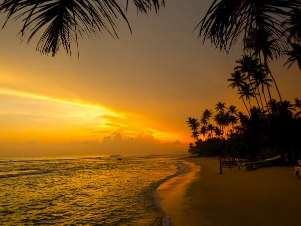 Güzel tropikal gün batımı — Stok fotoğraf