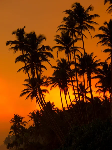 Mooie tropische zonsondergang — Stockfoto