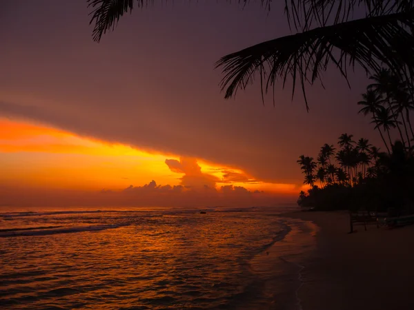 Красивый тропический закат — стоковое фото