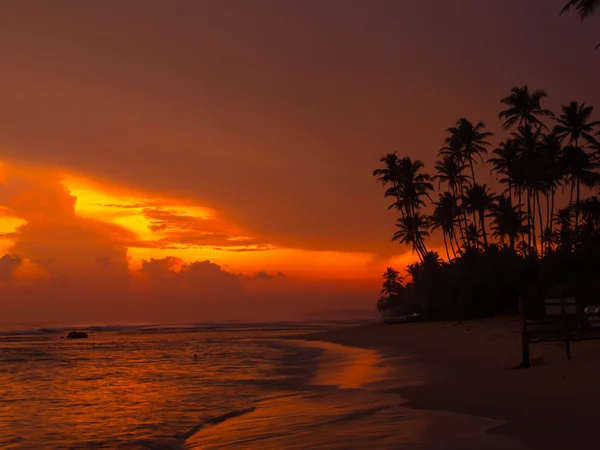 Красива Тропічна захід сонця — стокове фото
