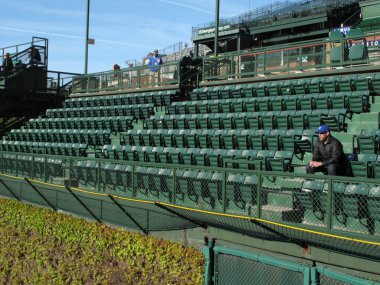 Wrigley sahasını - chicago cubs