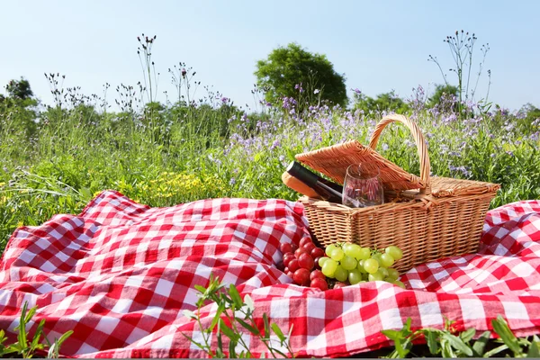 Piknik — Stok Foto