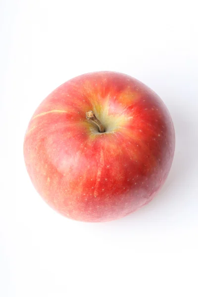 Elma izole edildi — Stok fotoğraf
