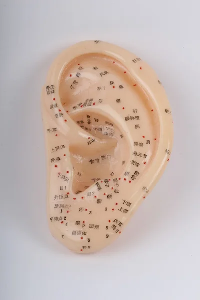 Accupuncture ear meridian points — Stock Photo, Image