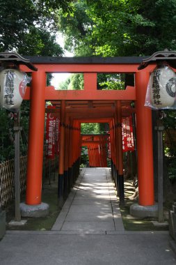 Torii kapıları