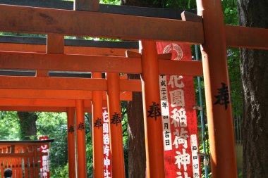 Torii kapıları