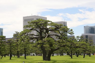 Tokyo modern Binası