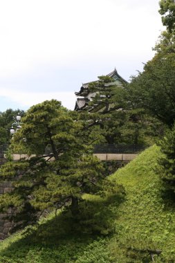 Tokyo İmparatorluk Sarayı