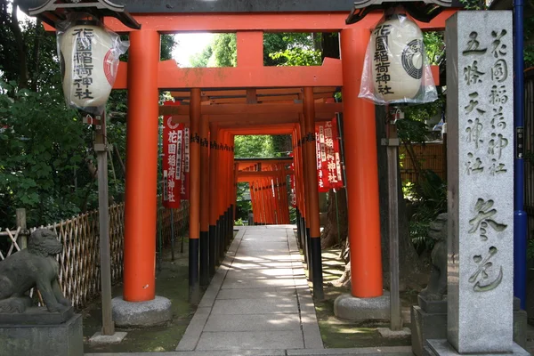 Puertas de Torii — Foto de Stock