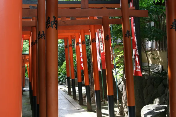 Torii gates — Stock Photo, Image