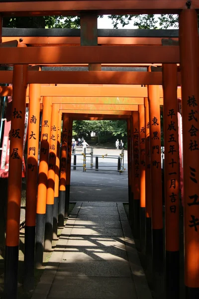 Portas de Torii — Fotografia de Stock