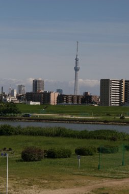 Tokyo Sky ağaç