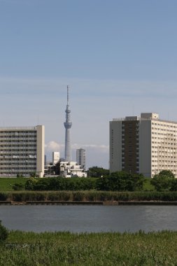 Tokyo Sky ağaç