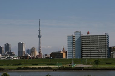 Tokyo Sky ağaç