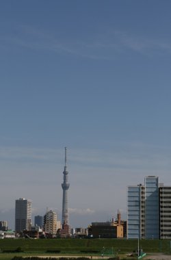 Tokyo Sky ağaç