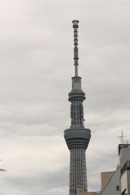 Tokyo Sky ağaç