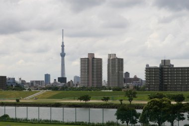 Tokyo Sky ağaç