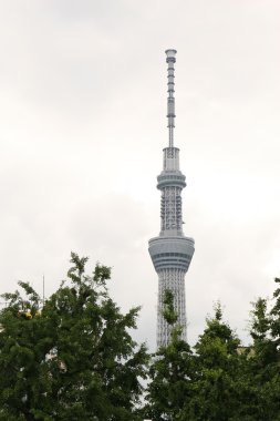 Tokyo Sky ağaç