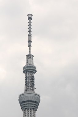 Tokyo Sky ağaç