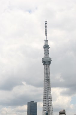 Tokyo Sky ağaç