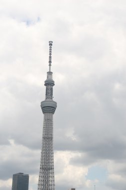 Tokyo Sky ağaç