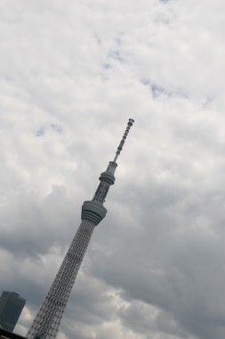 Tokyo Sky ağaç