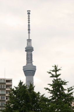 Tokyo Sky ağaç