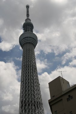 Tokyo Sky ağaç