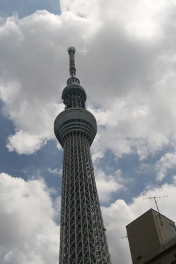 Tokyo Sky ağaç