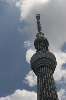 Tokyo Sky ağaç