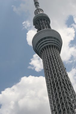 Tokyo Sky ağaç