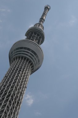 Tokyo Sky ağaç