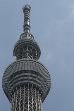 Tokyo Sky ağaç