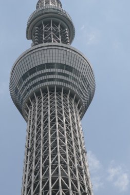 Tokyo Sky ağaç