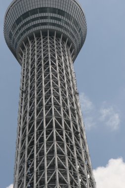 Tokyo Sky ağaç
