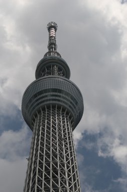 Tokyo Sky ağaç