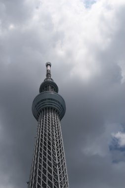 Tokyo Sky ağaç