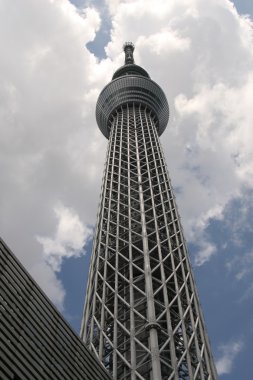 Tokyo Sky ağaç