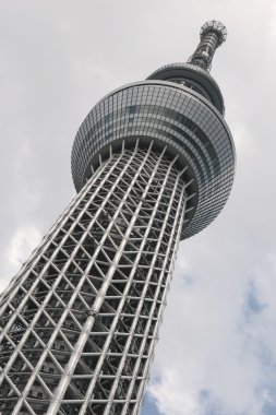 Tokyo Sky ağaç