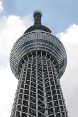 Tokyo Sky ağaç