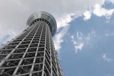 Tokyo Sky ağaç