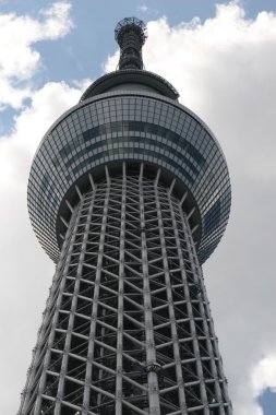 Tokyo Sky ağaç