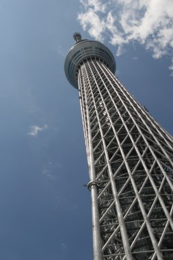 Tokyo Sky ağaç