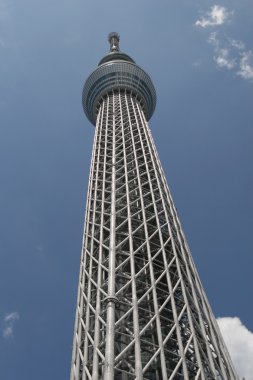 Tokyo Sky ağaç