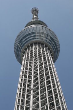 Tokyo Sky ağaç