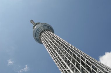 Tokyo Sky ağaç