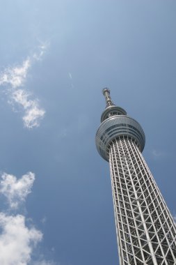 Tokyo Sky ağaç