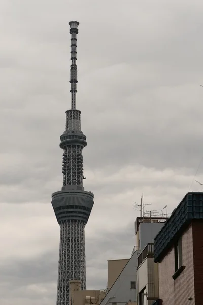 东京天空树 — 图库照片